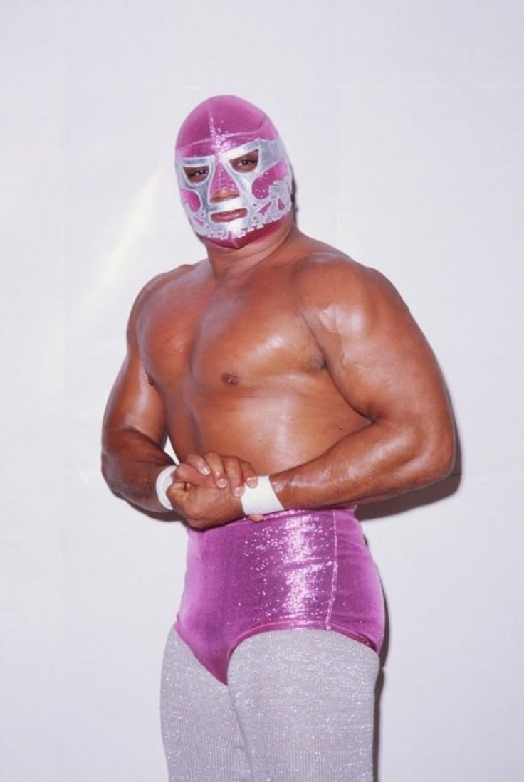 Wrestling visual reference