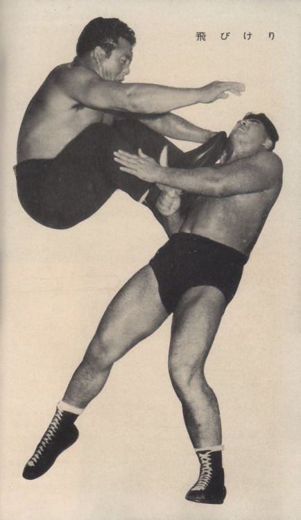 Wrestling visual reference